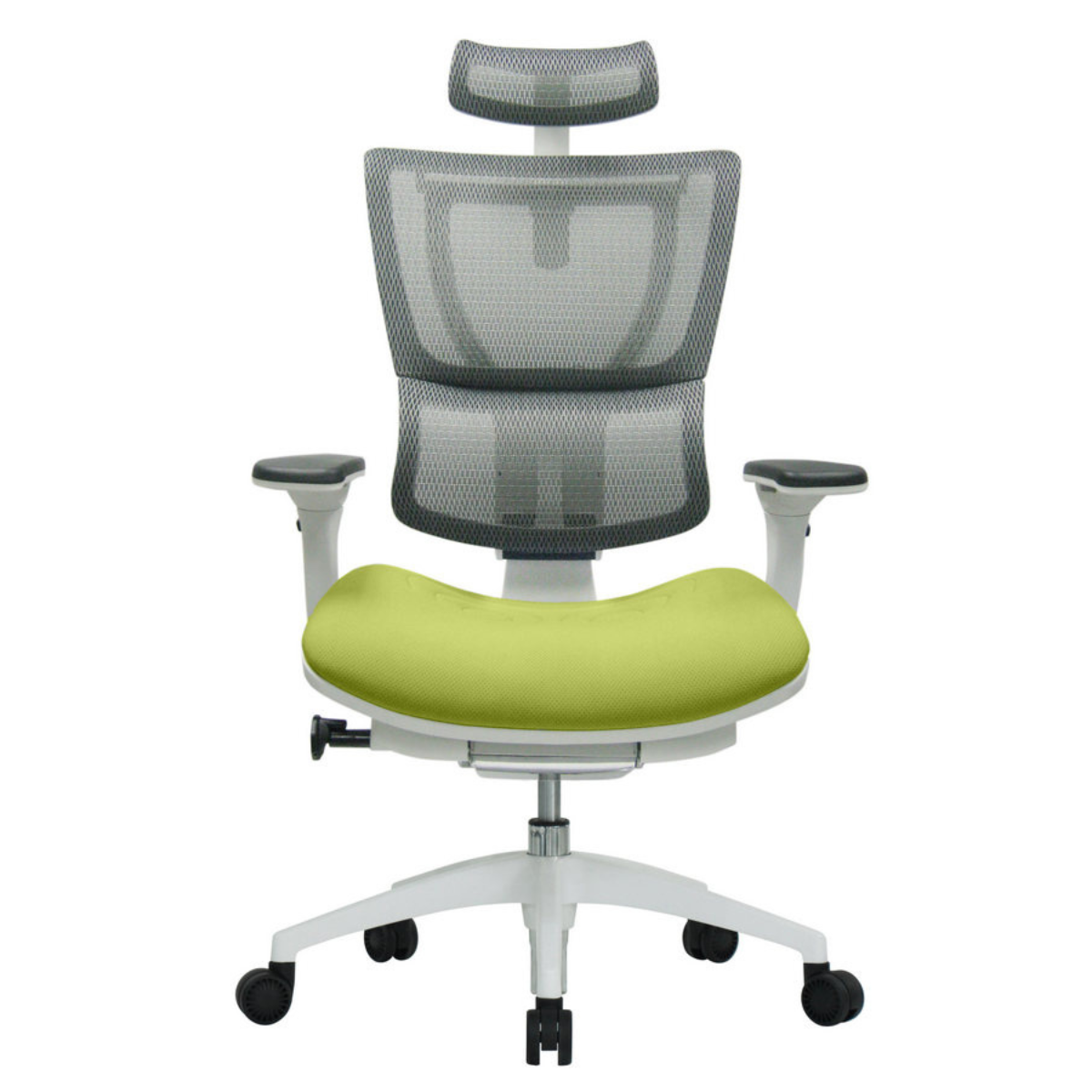 furnit.bg-202312-u-body-green-16590