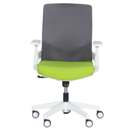 raboten-ofis-stol-carmen-7547-zelen-siv (1)