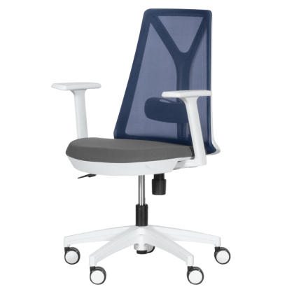 raboten-ofis-stol-carmen-7565-siv (2)