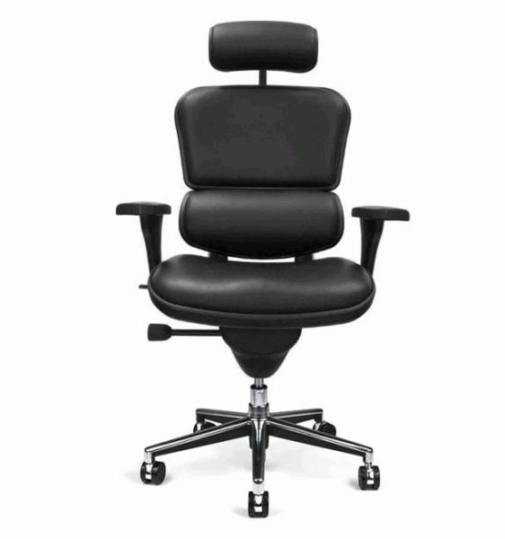 Мениджърски стол ERGOHUMAN LEATHER