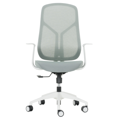 raboten-ofis-stol-carmen-7900-w-zelen (1)