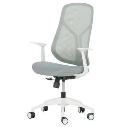raboten-ofis-stol-carmen-7900-w-zelen (2)
