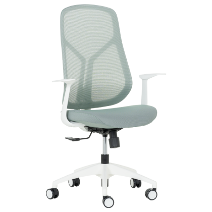 raboten-ofis-stol-carmen-7900-w-zelen