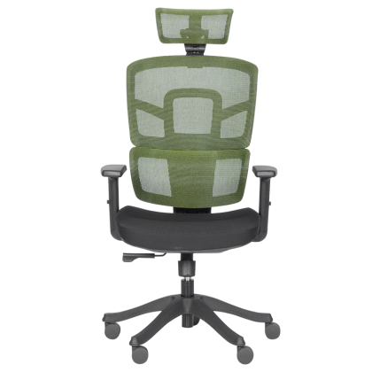 ergonomichen-stol-carmen-7582-zelen-cheren (1)