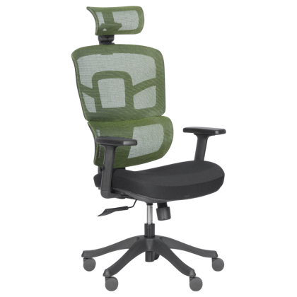 ergonomichen-stol-carmen-7582-zelen-cheren